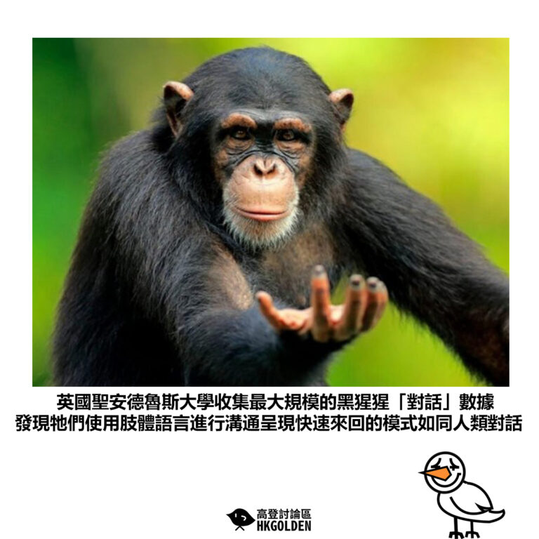 【英國聖安德魯斯大學收集最大規模的黑猩猩「對話」數據 發現牠們使用肢體語言進行溝通呈現快速來回的模式如同人類對話】
