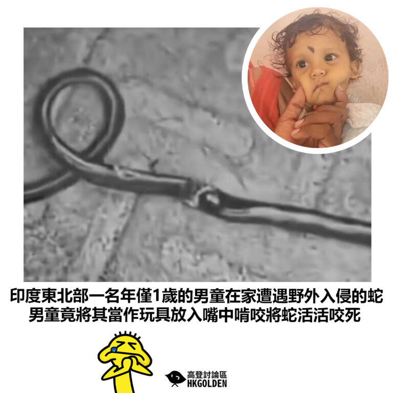 【印度東北部一名年僅1歲的男童在家遭遇野外入侵的蛇 男童竟將其當作玩具放入嘴中啃咬將蛇活活咬死】