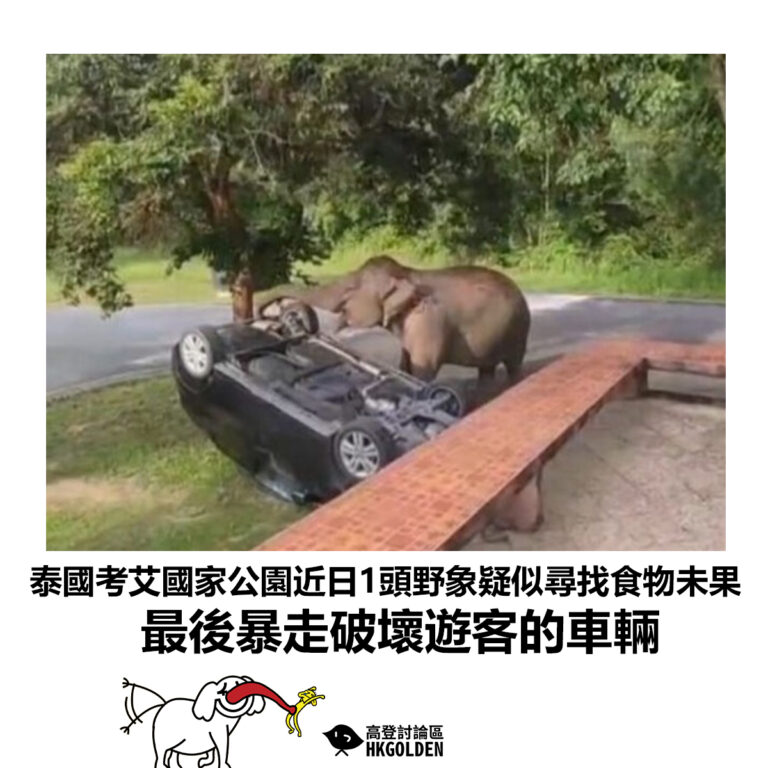 【泰國考艾國家公園近日1頭野象疑似尋找食物未果 最後暴走破壞遊客的車輛】