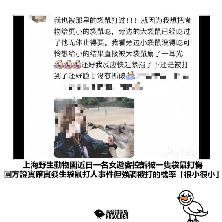 【上海野生動物園近日一名女遊客控訴被一隻袋鼠打傷 園方證實確實發生袋鼠打人事件但強調被打的機率「很小很小」】
