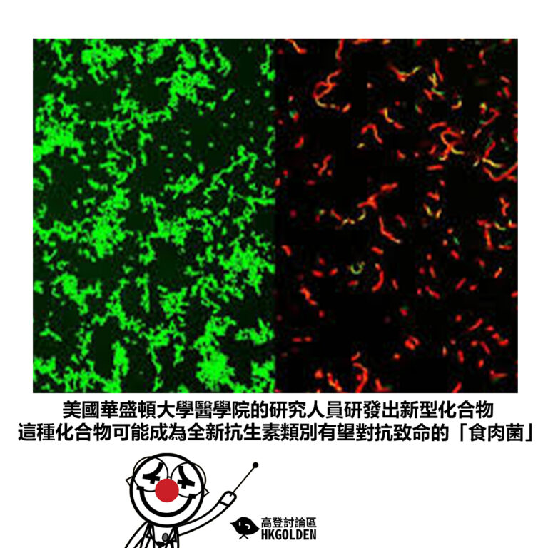 【美國華盛頓大學醫學院的研究人員研發出新型化合物 這種化合物可能成為全新抗生素類別有望對抗致命的「食肉菌」】