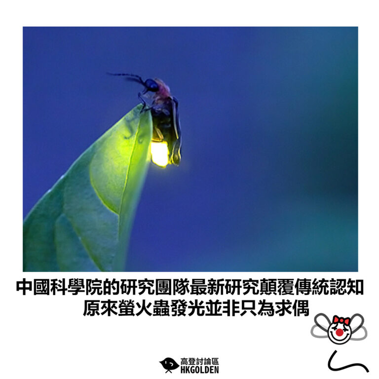 【中國科學院的研究團隊最新研究顛覆傳統認知 原來螢火蟲發光並非只為求偶】