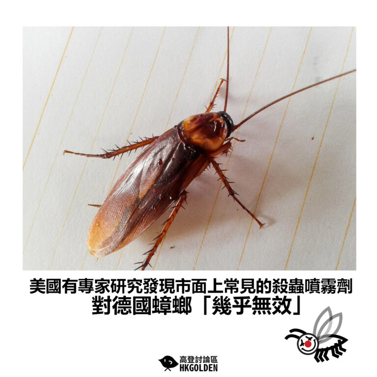 【美國有專家研究發現市面上常見的殺蟲噴霧劑 對德國蟑螂「幾乎無效」】