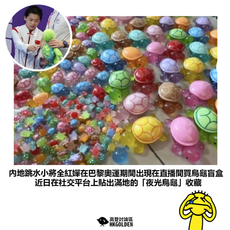 【內地跳水小將全紅嬋在巴黎奧運期間出現在直播間買烏龜盲盒 近日在社交平台上貼出滿地的「夜光烏龜」收藏】