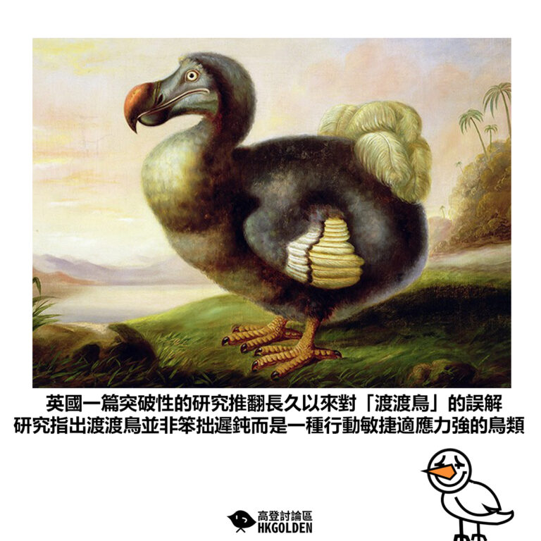 【英國一篇突破性的研究推翻長久以來對「渡渡鳥」的誤解 研究指出渡渡鳥並非笨拙遲鈍而是一種行動敏捷適應力強的鳥類】