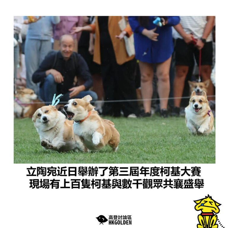 【立陶宛近日舉辦了第三屆年度柯基大賽 現場有上百隻柯基與數千觀眾共襄盛舉】