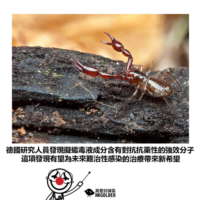 【德國研究人員發現擬蠍毒液成分含有對抗抗藥性的強效分子 這項發現有望為未來難治性感染的治療帶來新希望】