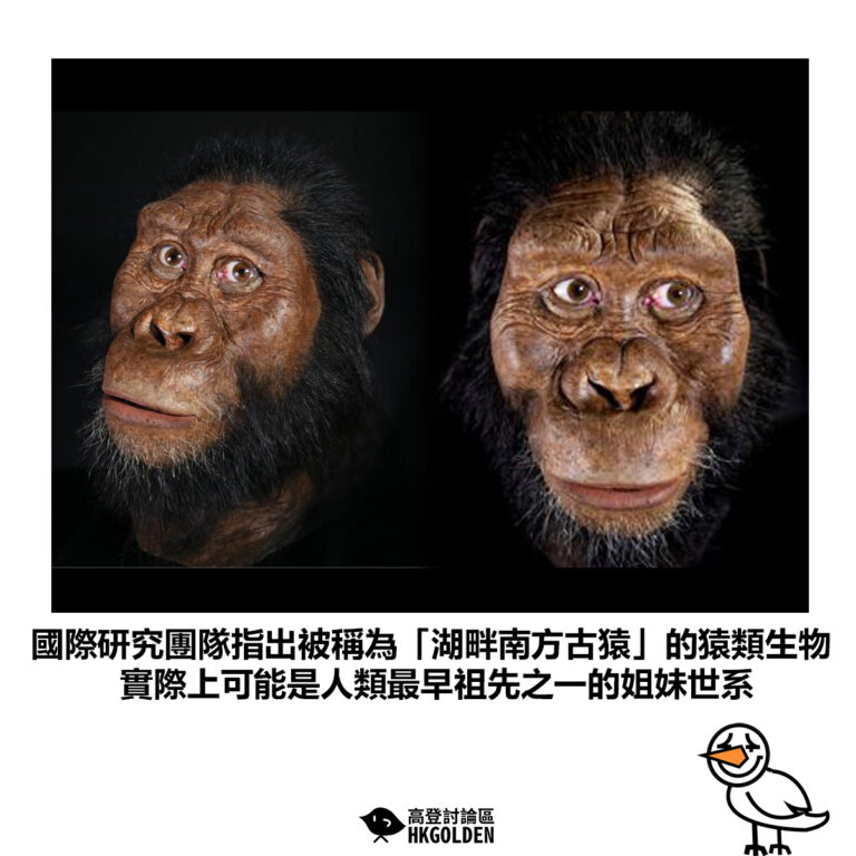 【國際研究團隊指出被稱為「湖畔南方古猿」的猿類生物 實際上可能是人類最早祖先之一的姐妹世系】