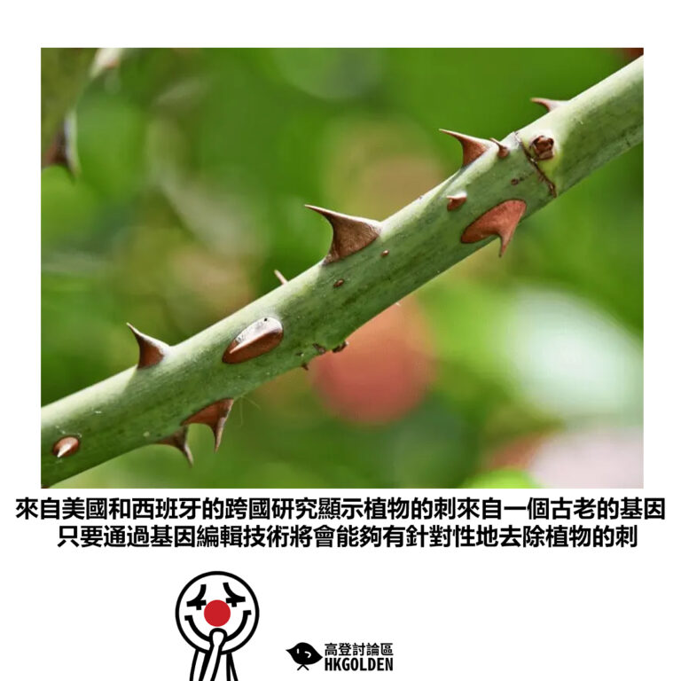 【來自美國和西班牙的跨國研究顯示植物的刺來自一個古老的基因只要通過基因編輯技術將會能夠有針對性地去除植物的刺】