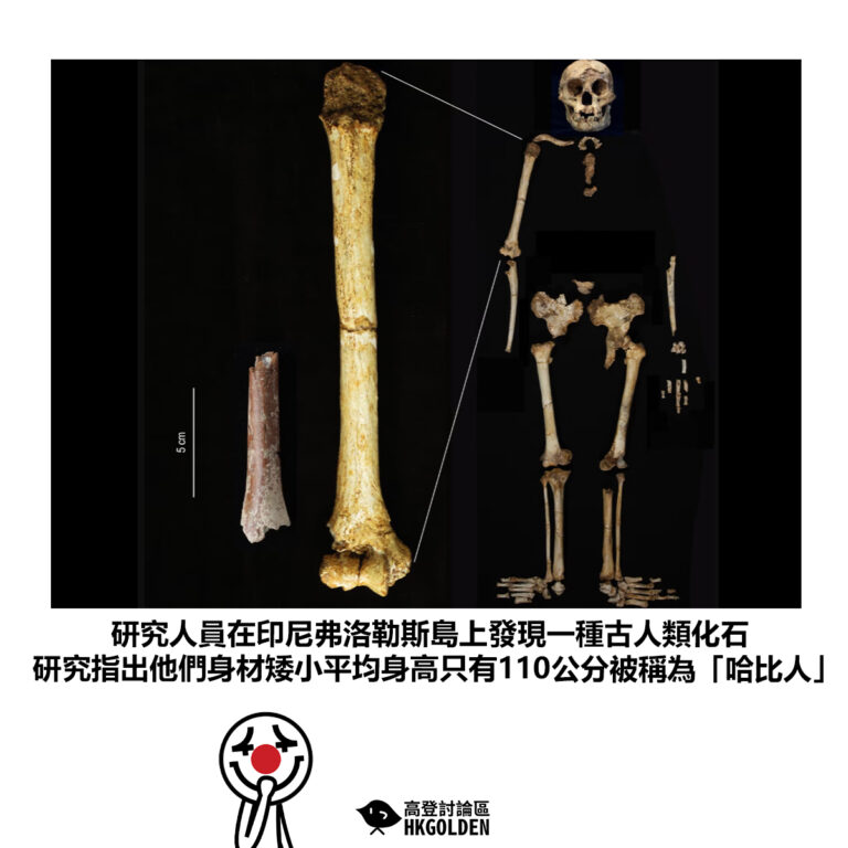 【研究人員在印尼弗洛勒斯島上發現一種古人類化石 研究指出他們身材矮小平均身高只有110公分被稱為「哈比人」】