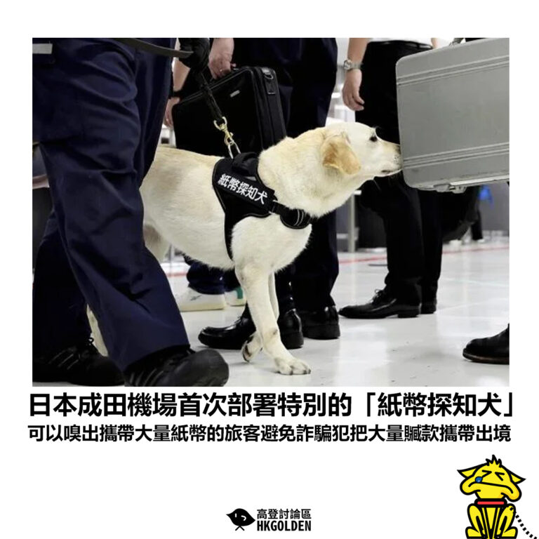 【日本成田機場首次部署特別的「紙幣探知犬」 可以嗅出攜帶大量紙幣的旅客避免詐騙犯把大量贓款攜帶出境】