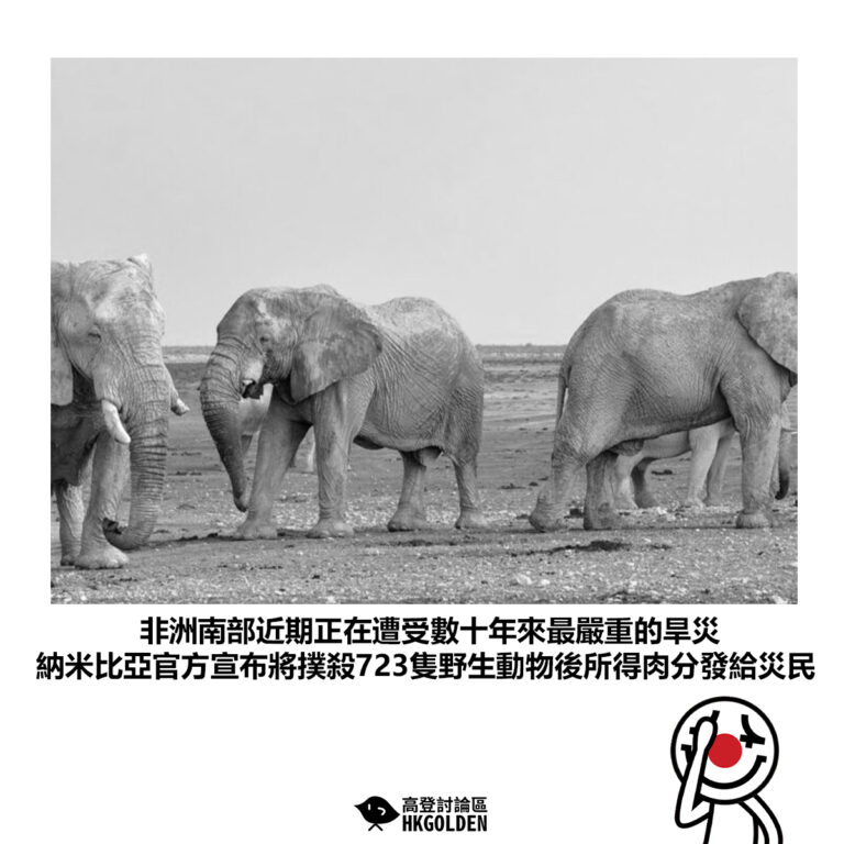 【非洲南部近期正在遭受數十年來最嚴重的旱災 納米比亞官方宣布將撲殺723隻野生動物後所得肉分發給災民】