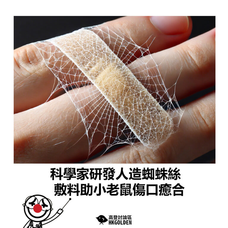 【科學家研發人造蜘蛛絲 敷料助小老鼠傷口癒合】