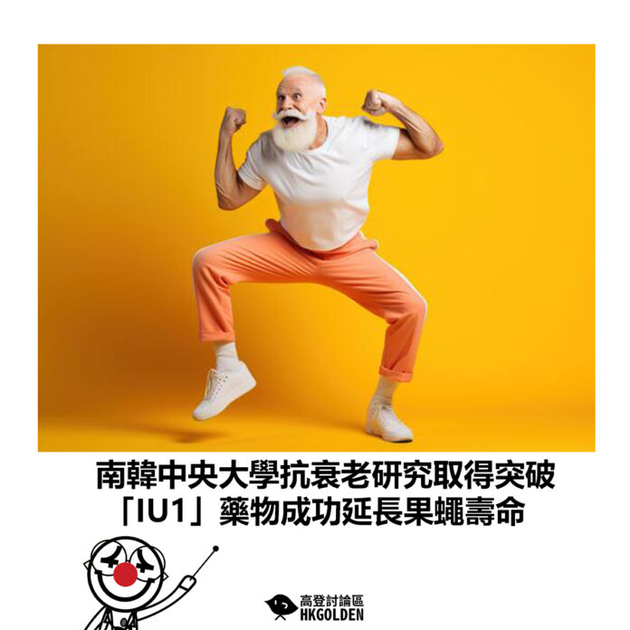 dfsghsdggasg