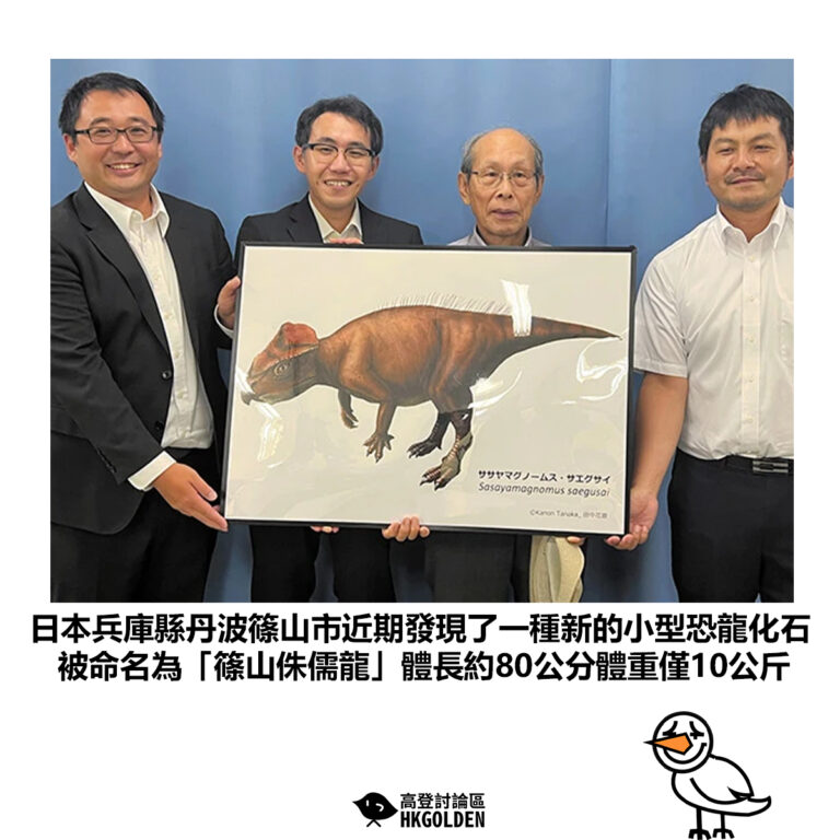 【日本兵庫縣丹波篠山市近期發現了一種新的小型恐龍化石 被命名為「篠山侏儒龍」體長約80公分體重僅10公斤】