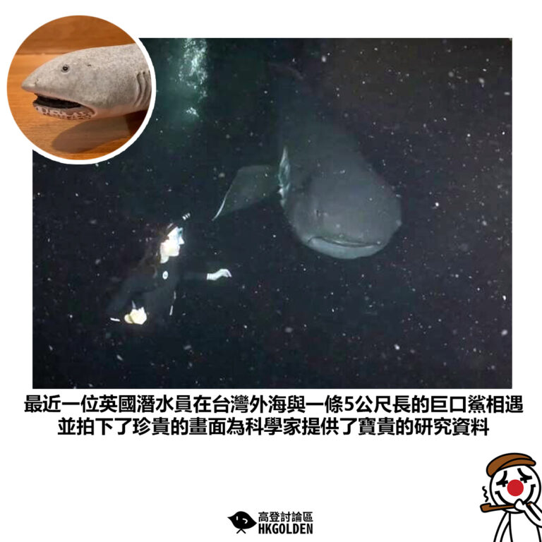 【最近一位英國潛水員在台灣外海與一條5公尺長的巨口鯊相遇 並拍下了珍貴的畫面為科學家提供了寶貴的研究資料】