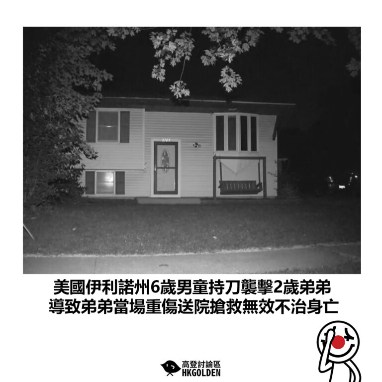 【美國伊利諾州6歲男童持刀襲擊2歲弟弟 導致弟弟當場重傷送院搶救無效不治身亡】