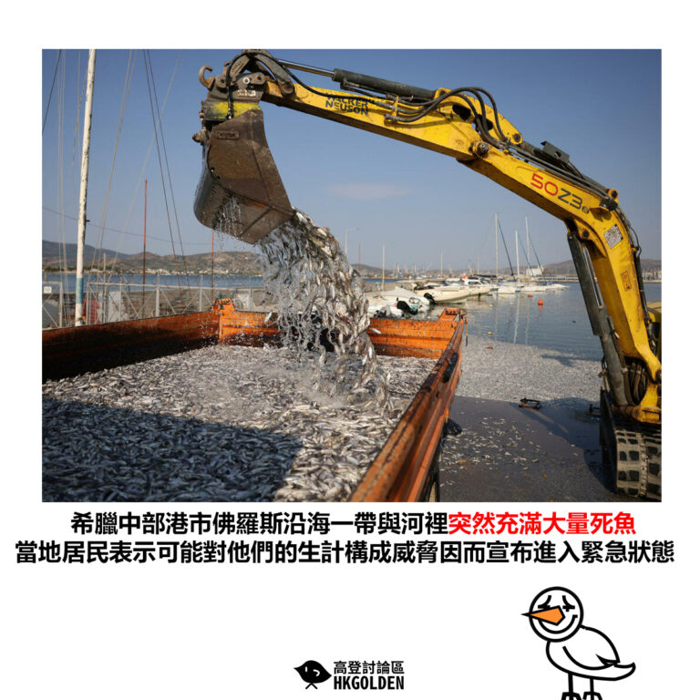 【希臘中部港市佛羅斯沿海一帶與河裡突然充滿大量死魚 當地居民表示可能對他們的生計構成威脅因而宣布進入緊急狀態】