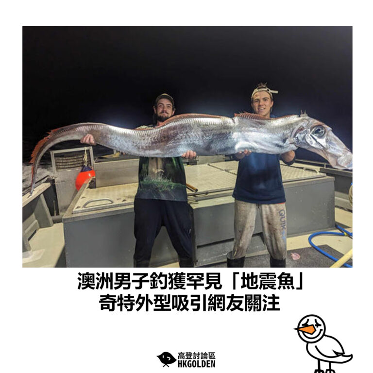 【澳洲男子釣獲罕見「地震魚」 奇特外型吸引網友關注】