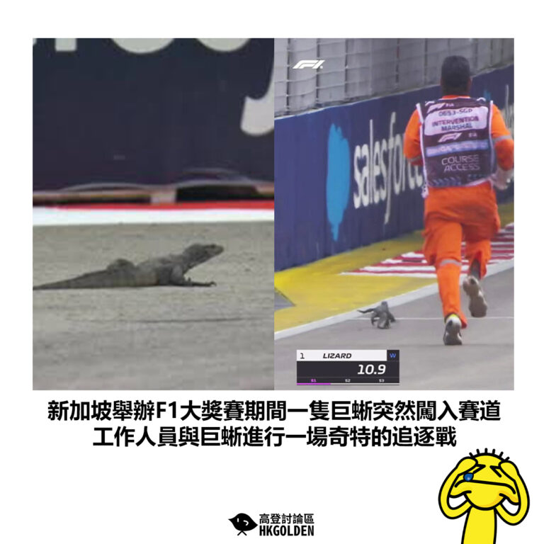 【新加坡舉辦F1大獎賽期間一隻巨蜥突然闖入賽道 工作人員與巨蜥進行一場奇特的追逐戰】