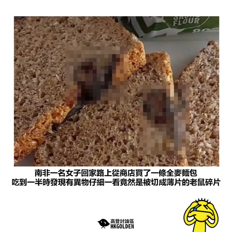 【南非一名女子回家路上從商店買了一條全麥麵包 吃到一半時發現有異物仔細一看竟然是被切成薄片的老鼠碎片】