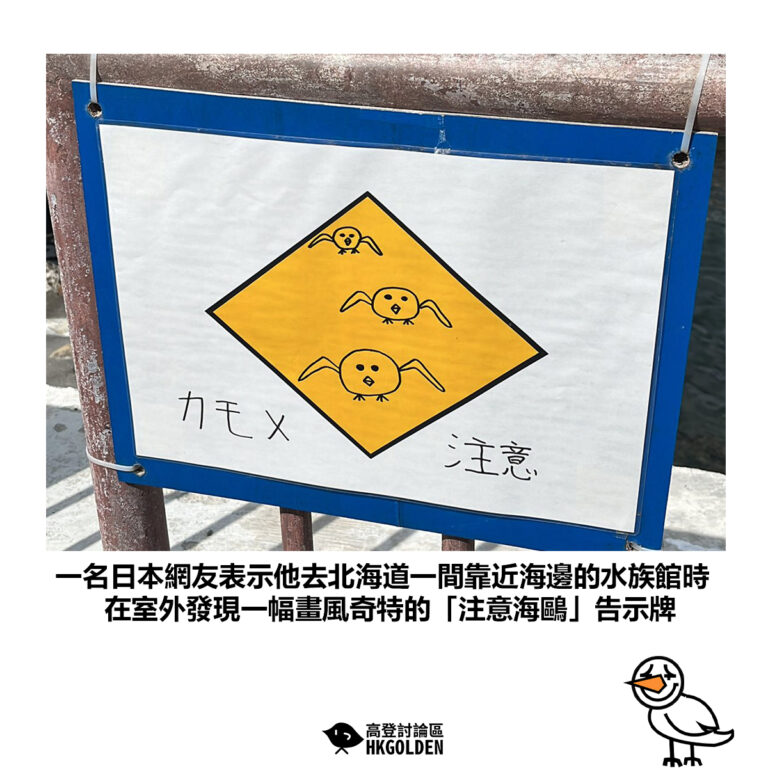 【一名日本網友表示他去北海道一間靠近海邊的水族館時 在室外發現一幅畫風奇特的「注意海鷗」告示牌】