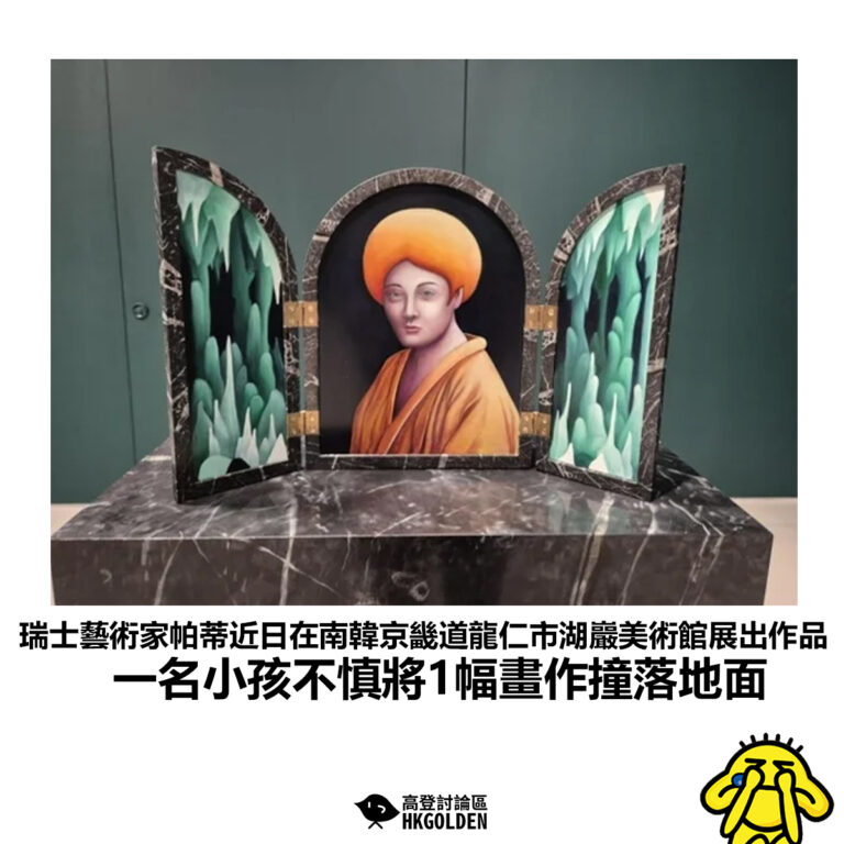 【瑞士藝術家帕蒂近日在南韓京畿道龍仁市湖巖美術館展出作品 一名小孩不慎將1幅畫作撞落地面】