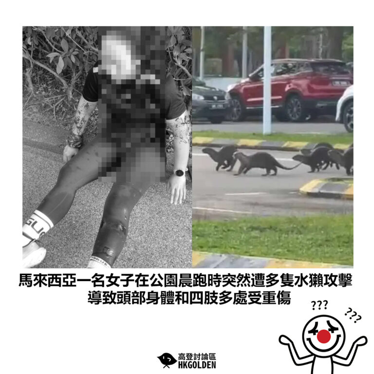 【馬來西亞一名女子在公園晨跑時突然遭多隻水獺攻擊 導致頭部身體和四肢多處受重傷】