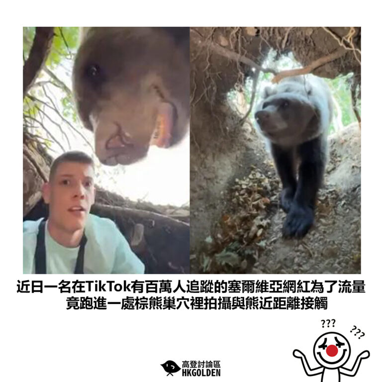 【近日一名在TikTok有百萬人追蹤的塞爾維亞網紅為了流量 竟跑進一處棕熊巢穴裡拍攝與熊近距離接觸】