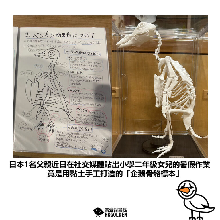 【日本1名父親近日在社交媒體貼出小學二年級女兒的暑假作業 竟是用黏土手工打造的「企鵝骨骼標本」】