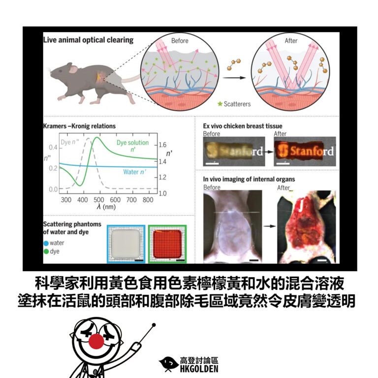 【科學家利用黃色食用色素檸檬黃和水的混合溶液 塗抹在活鼠的頭部和腹部除毛區域竟然令皮膚變透明】