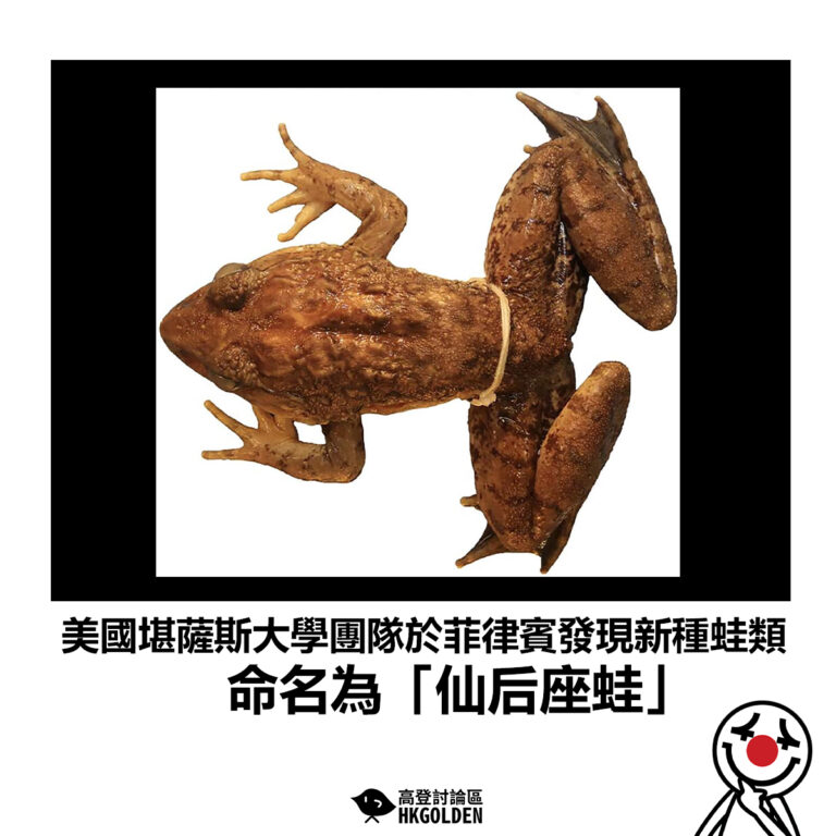 【美國堪薩斯大學團隊於菲律賓發現新種蛙類 命名為「仙后座蛙」】
