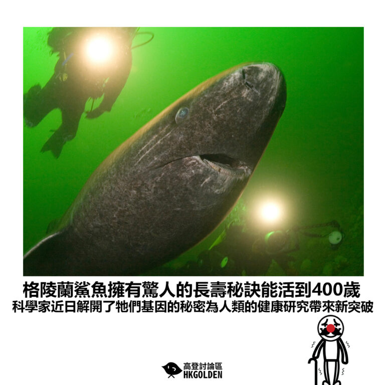 【格陵蘭鯊魚擁有驚人的長壽秘訣能活到400歲 科學家近日解開了牠們基因的秘密為人類的健康研究帶來新突破】