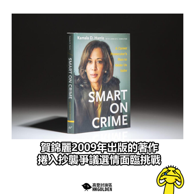 【賀錦麗2009年出版的著作 捲入抄襲爭議選情面臨挑戰】