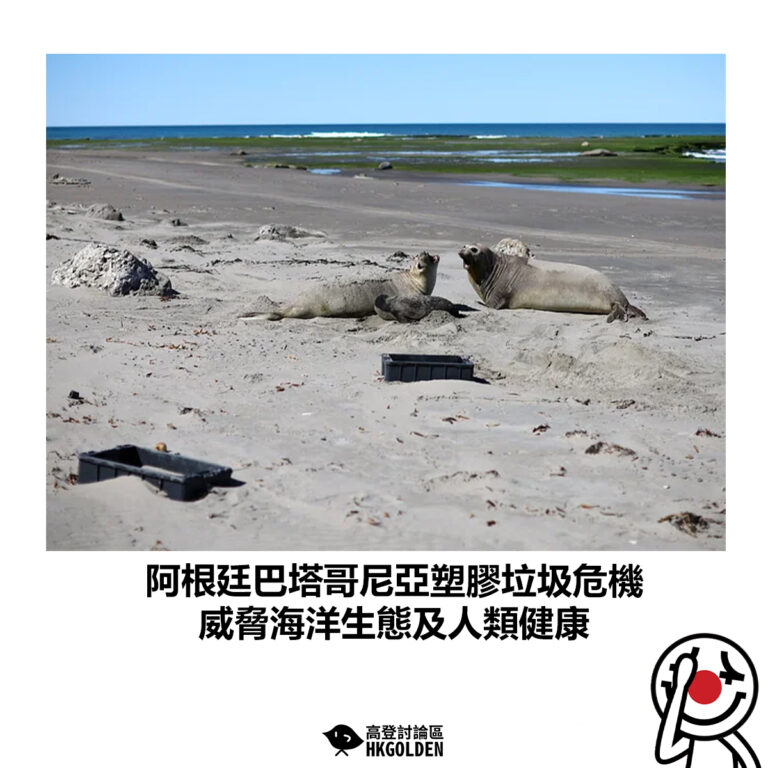 【阿根廷巴塔哥尼亞塑膠垃圾危機　威脅海洋生態及人類健康】