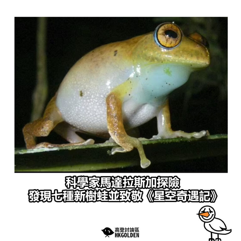 【 科學家馬達拉斯加探險 發現七種新樹蛙並致敬《星空奇遇記》】