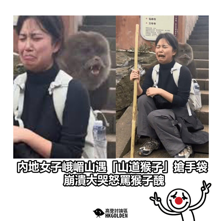 【內地女子峨嵋山遇「山道猴子」搶背包 崩潰大哭怒罵猴子醜】