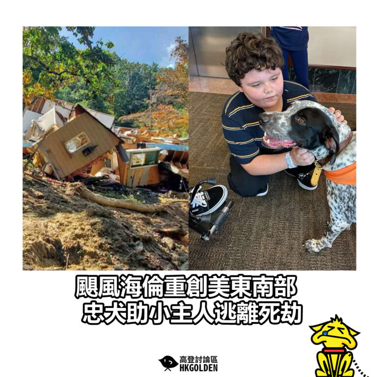 【颶風海倫重創美東南部　忠犬助小主人逃離死劫】