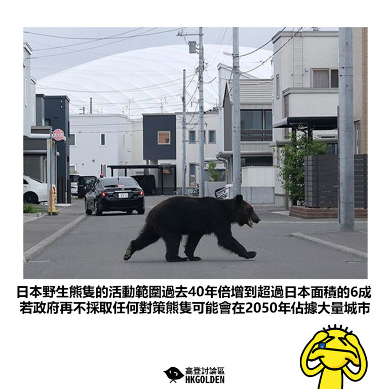 【日本野生熊隻的活動範圍過去40年倍增到超過日本面積的6成 若政府再不採取任何對策熊隻可能會在2050年佔據大量城市】