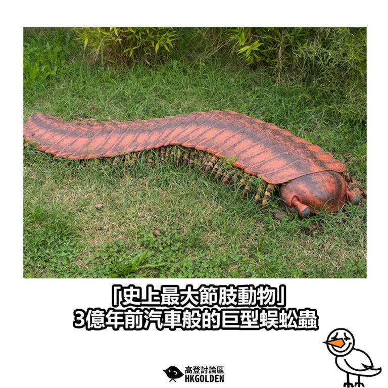【「史上最大節肢動物」  3億年前汽車般的巨型蜈蚣蟲 】