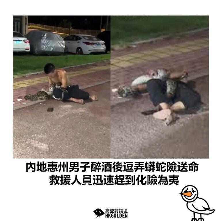 【內地惠州男子醉酒後逗弄蟒蛇險送命　救援人員迅速趕到化險為夷】