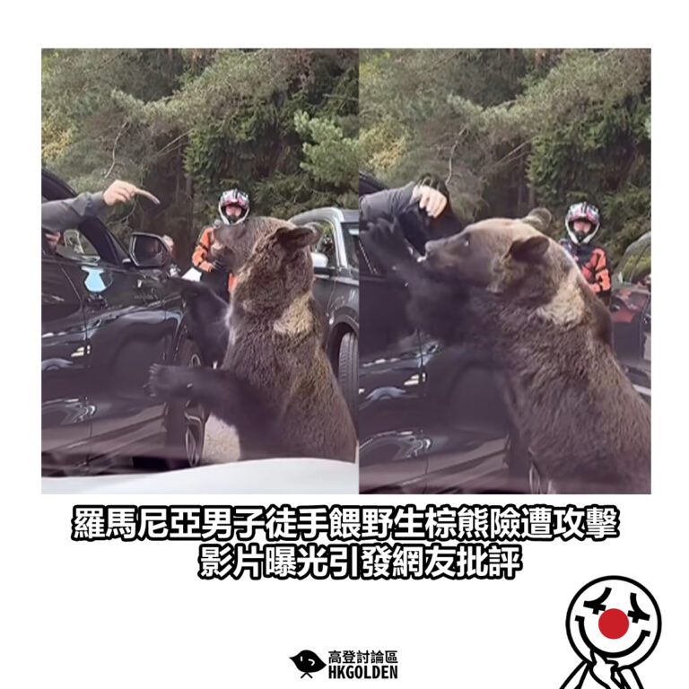【羅馬尼亞男子徒手餵野生棕熊險遭攻擊　影片曝光引發網友批評】