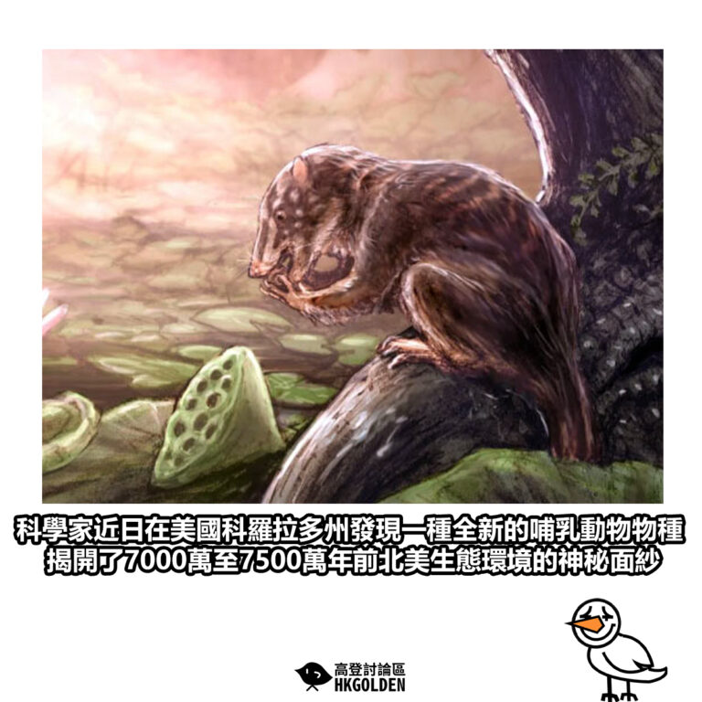 【科學家近日在美國科羅拉多州發現一種全新的哺乳動物物種 揭開了7000萬至7500萬年前北美生態環境的神秘面紗】