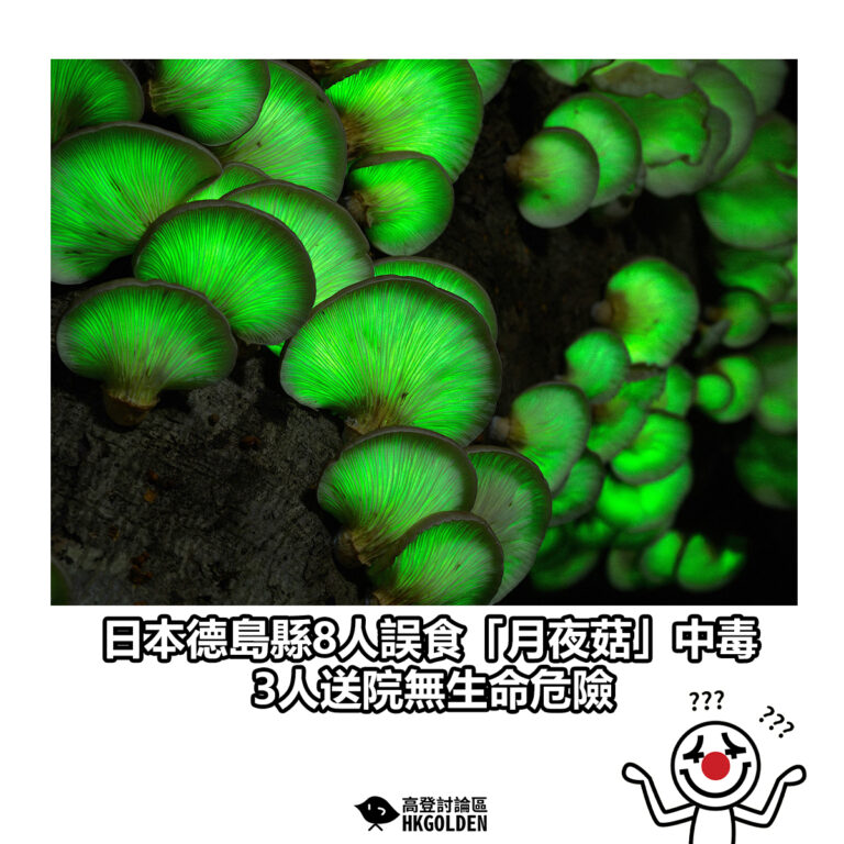 【日本德島縣8人誤食「月夜菇」中毒 3人送院無生命危險】