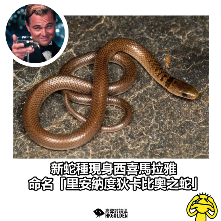 【新蛇種現身西喜馬拉雅 命名「里安納度狄卡比奧之蛇」】