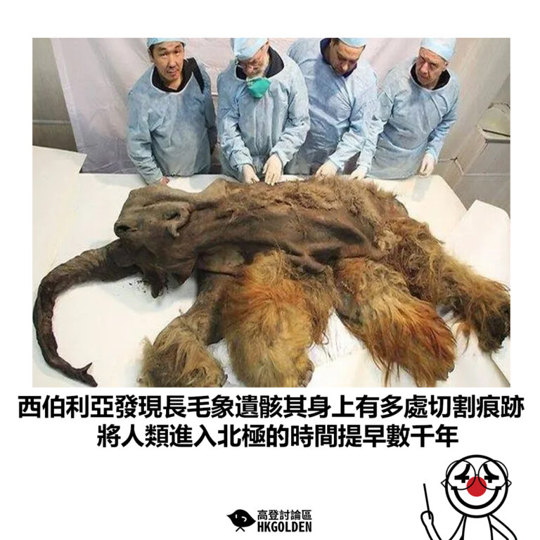 【西伯利亞發現長毛象遺骸其身上有多處切割痕跡 將人類進入北極的時間提早數千年】