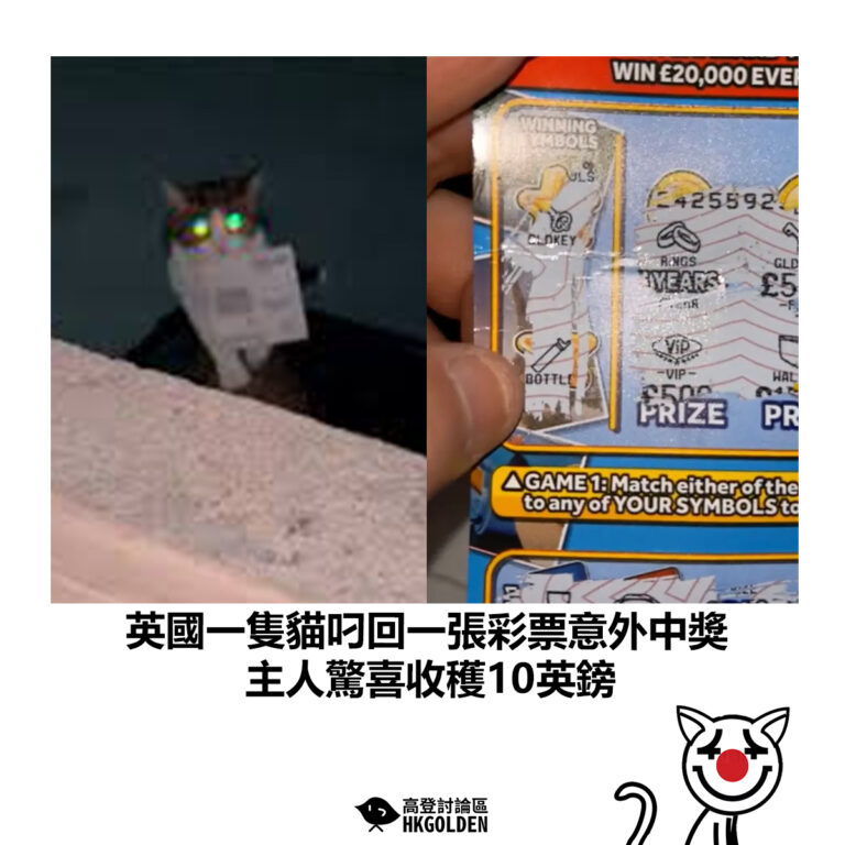 【英國一隻貓叼回一張彩票意外中獎  主人驚喜收穫10英鎊】