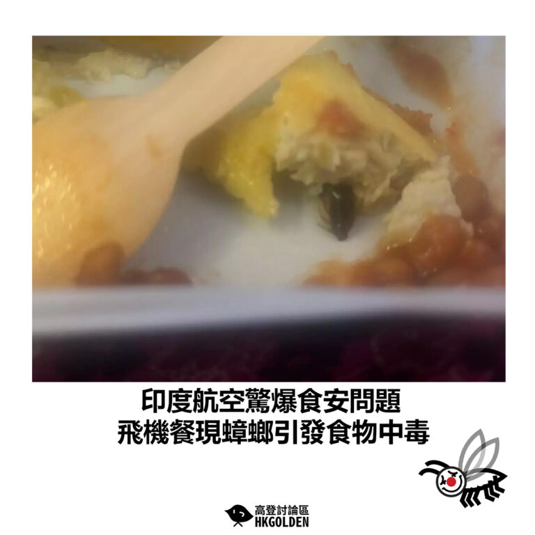 【印度航空驚爆食安問題　飛機餐現蟑螂引發食物中毒】