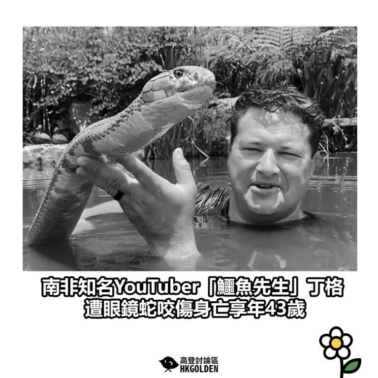 【南非知名YouTuber「鱷魚先生」丁格 遭眼鏡蛇咬傷身亡享年43歲】