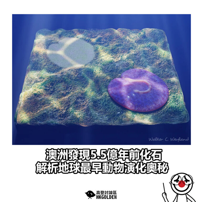 【 澳洲發現5.5億年前化石 解析地球最早動物演化奧秘】